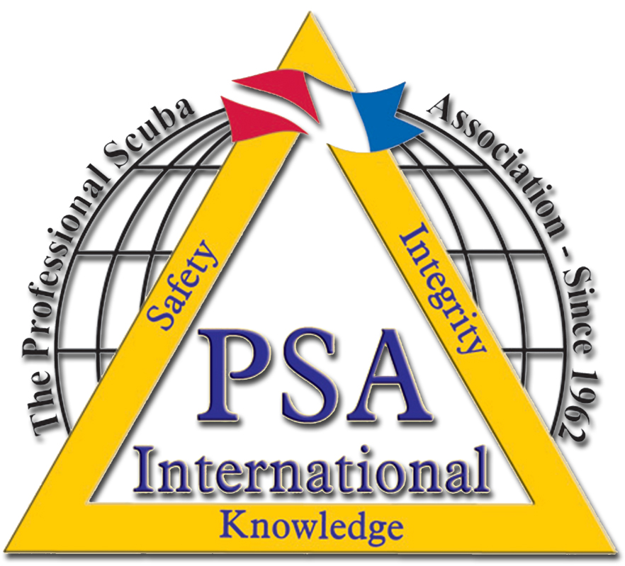 Psav Logo